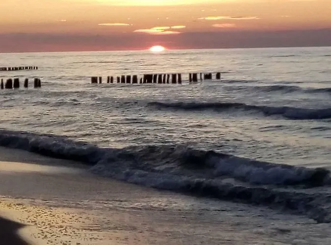 Przytulny - Podczele